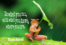 Do What You Can, With What You Have, Where You Are Dragon Analytics - Do what you can