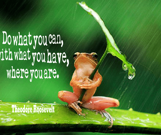 Do What You Can, With What You Have, Where You Are Dragon Analytics - Do what you can