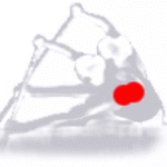 Sit Up and Take Note