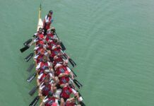 Predicting The Performance of Your Crew