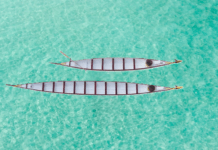 Standard vs. Small Dragon Boat Performance With 10 Paddlers