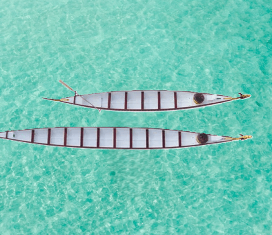Standard vs. Small Dragon Boat Performance With 10 Paddlers