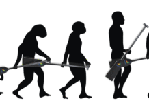 The Evolution of Your Dragon Boat Technique: From Novice to Elite