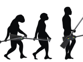 The Evolution of Your Dragon Boat Technique: From Novice to Elite